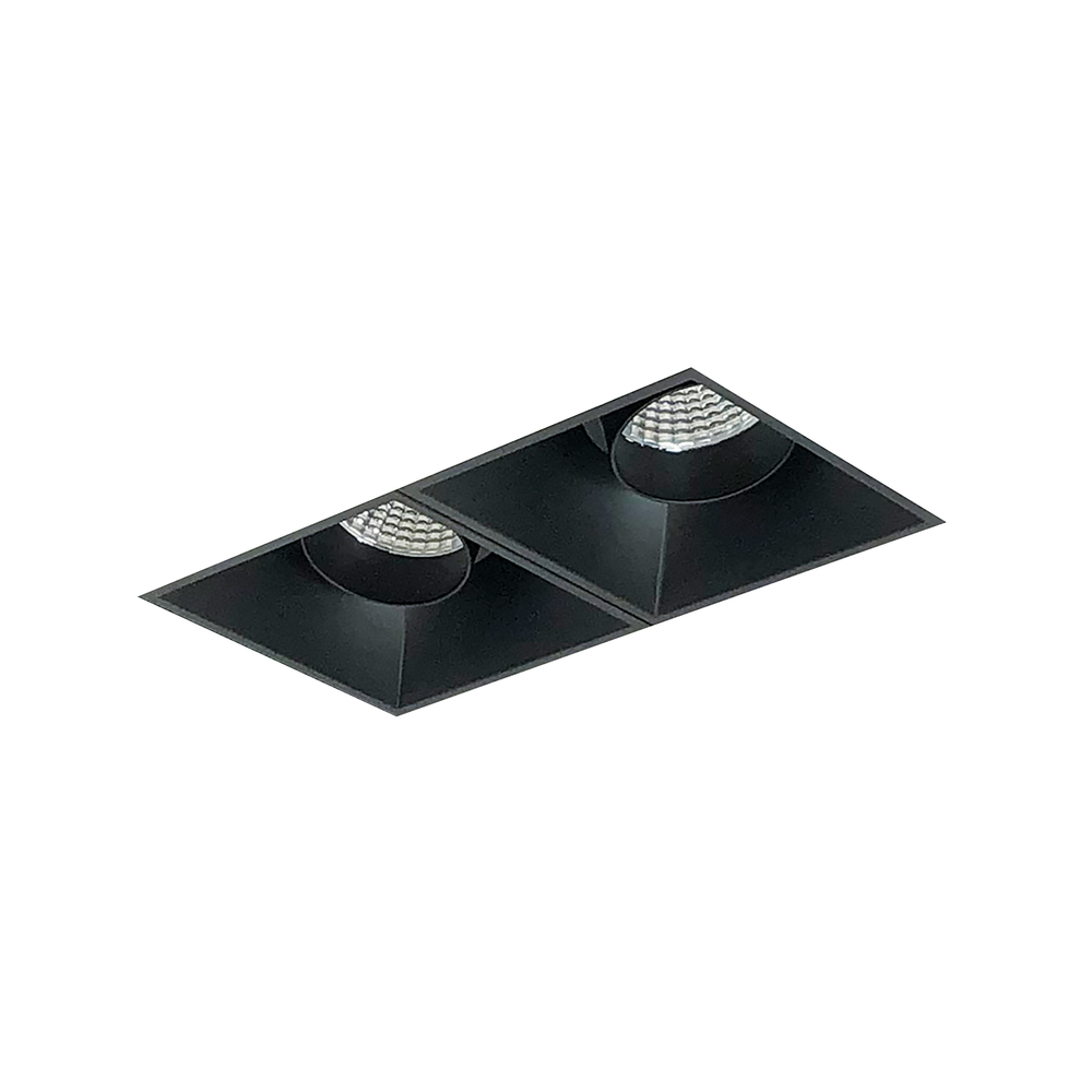 Iolite MLS 2-Head Trimless Reflector Kit, 5000K, 1000lm, Black Adj. Snoot Trims