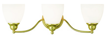 Livex Lighting 13673-02 - 3 Light Polished Brass Bath Light
