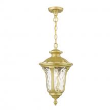 Livex Lighting 7854-33 - 1 Light Soft Gold Outdoor Medium Pendant Lantern