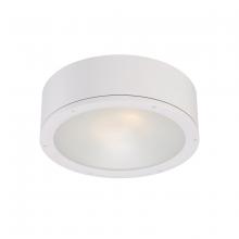 WAC US FM-W2612-WT - TUBE Outdoor Flush Mount Light