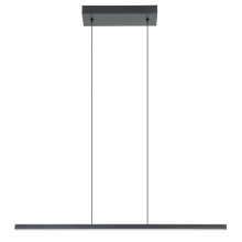 Eglo 206045A - 1 LT LED Linear Pendant