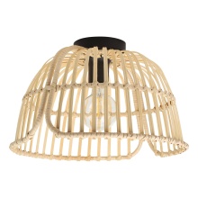Eglo 43872A - Glyneath - 1 LT Ceiling Light
