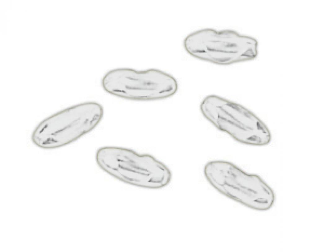 Beaded Chain Connectors in White (6pcs)