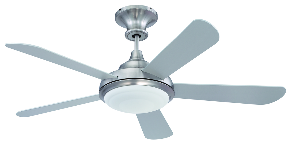 Triumph 52" Ceiling Fan with Blades and Light in Stainless Steel