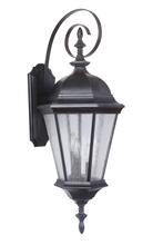 Craftmade Z2924-OBG - Chadwick 3 Light Large Outdoor Wall Lantern in Oiled Bronze Gilded