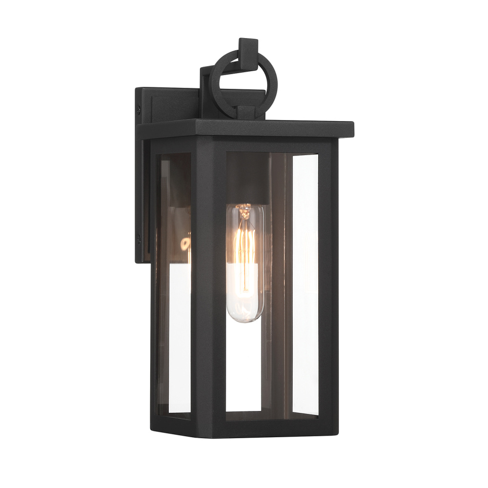 Boadie 1 Light Matte Black Outdoor Sconce