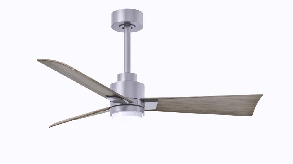 Alessandra 3-blade transitional ceiling fan in brushed nickel finish with gray ash blades. Optimized