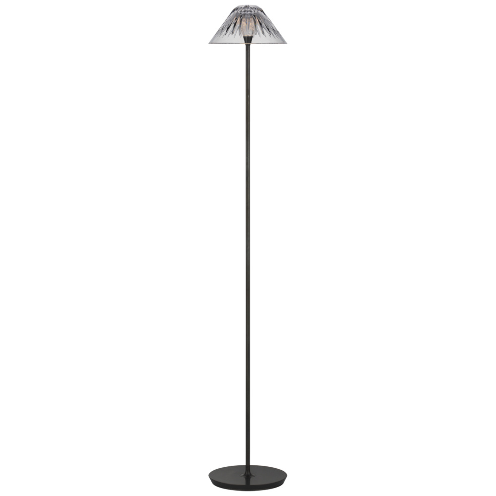 Blaze 55" Floor Lamp