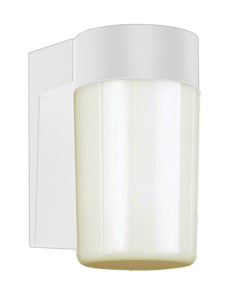Pershing 1-Light Cylindrical Shade Outdoor Wall Light