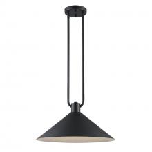 Trans Globe 11762 BK - Roscoe 1 - Light Industrial Pendant