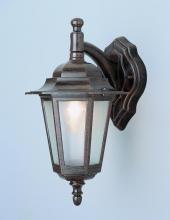Trans Globe 4056 SWI - Alexander Outdoor 1-Light Frosted Glass and Metal Coach Wall Lantern