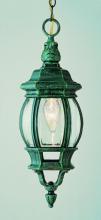 Trans Globe 4065 SWI - Parsons 1-Light Traditional French-inspired Outdoor Hanging Lantern Pendant with Chain
