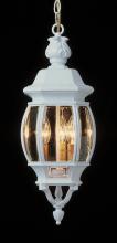 Trans Globe 4066 WH - Parsons 3-Light Traditional French-inspired Outdoor Hanging Lantern Pendant with Chain