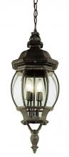 Trans Globe 4067 RT - Parsons 4-Light Traditional French-inspired Outdoor Hanging Lantern Pendant with Chain