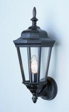 Trans Globe 4095 BK - San Rafael 17.25-In. Outdoor Wall Lantern Light