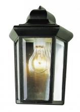 Trans Globe 4483 SWI - Rendell 12-In. 1-Light, Beveled Glass Outdoor Pocket Wall Lantern