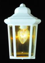 Trans Globe 4483 WH - Rendell 12-In. 1-Light, Beveled Glass Outdoor Pocket Wall Lantern