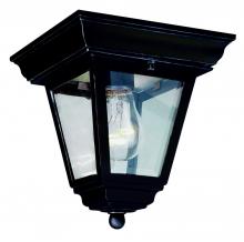 Trans Globe 4903 BK - Robertson 1-Light Square, Glass and Metal, Outdoor Flush Mount Ceiling Lantern