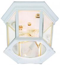 Trans Globe 4904 WH - San Marcos 3-Light Hexagon Glass and Metal, Flush Mount Outdoor Ceiling Lantern Light