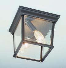 Trans Globe 4905 SWI - Ansel Collection Square 2-Light Simple Outdoor Flush Mount Ceiling Lantern Light