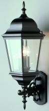 Trans Globe 51000 BG - Classical Collection, Traditional Metal and Beveled Glass, Armed Wall Lantern Light
