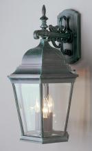 Trans Globe 51002 BC - Classical Collection, Traditional Metal and Beveled Glass, Armed Wall Lantern Light