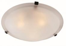 Trans Globe 58702 ROB - Cracka 20" Flush Mount Indoor Ceiling Light