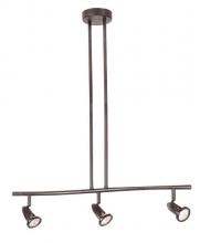 Trans Globe W-465 ROB - Stingray Collection, 3-Light, 3-Shade, Adjustable Height Indoor Ceiling Track Light