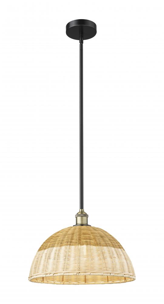 Bristol Natural II - 1 Light - 16 inch - Black Antique Brass - Stem hung - Mini Pendant