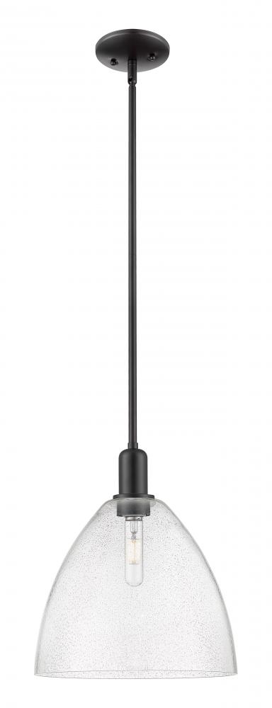 Bristol - 1 Light - 12 inch - Matte Black - Stem hung - Mini Pendant