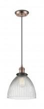 Innovations Lighting 201CBP-ACBK-G222 - Seneca Falls - 1 Light - 10 inch - Antique Copper - Cord hung - Mini Pendant