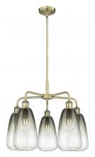 Innovations Lighting 516-5CR-AB-G480-6SL - Brookhaven Almond - 5 Light - 25 inch - Antique Brass - Stem hung - Chandelier