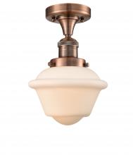 Innovations Lighting 517-1CH-AC-G531 - Oxford - 1 Light - 8 inch - Antique Copper - Semi-Flush Mount