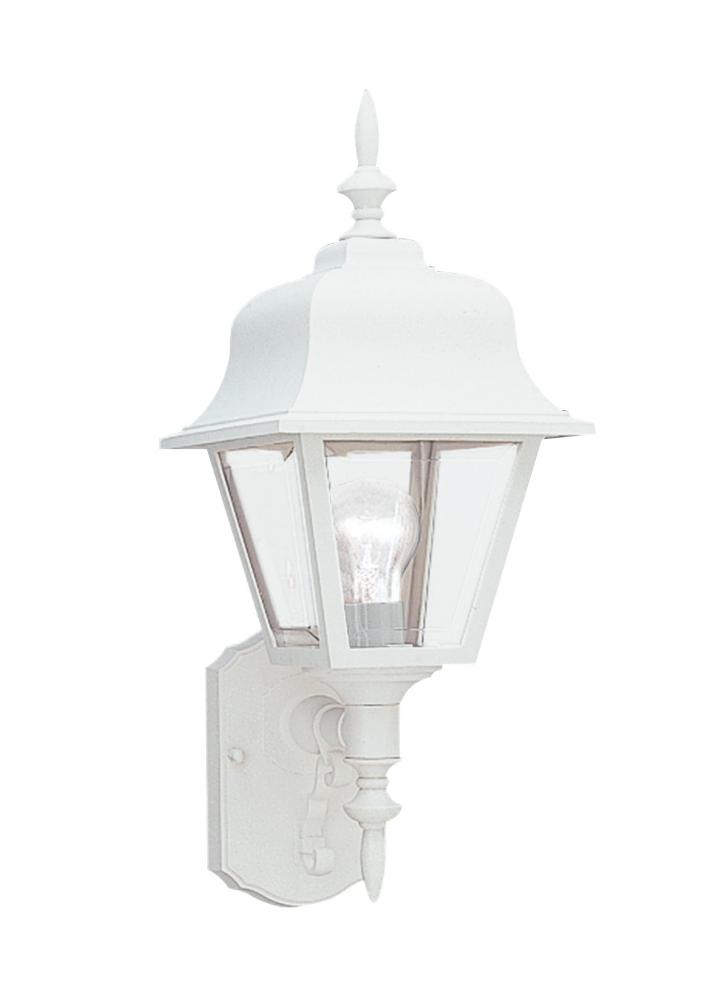 One Light Outdoor Wall Lantern