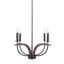 Toltec Company 2904-MBDW - Chandeliers