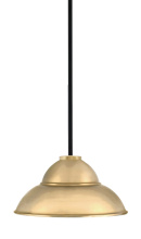 Toltec Company 6201-MBNAB-428-NAB - Pendant