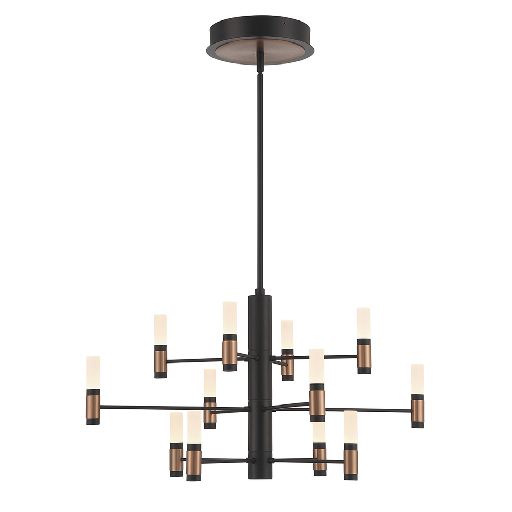 Albany 12 Light Chandelier in Black and Brass