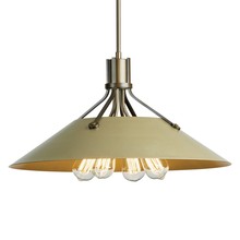 Hubbardton Forge 136340-SKT-MULT-05-84 - Henry Pendant