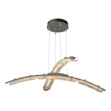 Hubbardton Forge 137587-LED-STND-20-ZM0749 - Glissade Double Large LED Pendant