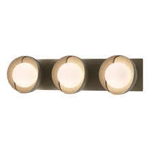 Hubbardton Forge 201378-SKT-84-84-GG0711 - Brooklyn 3-Light Straight Double Shade Bath Sconce