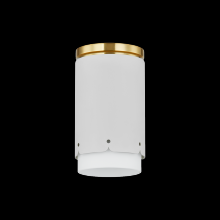 Mitzi by Hudson Valley Lighting H870501-AGB/SWH - Asa Flush Mount