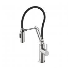 Elegant FAK-304BNK - Leonardo Single Handle Pull Down Sprayer Kitchen Faucet in Brushed Nickel