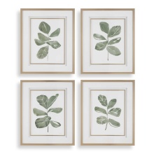 Uttermost 32454 - Uttermost Fiddle Head Leaf Botanical Prints Set/4