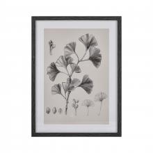 ELK Home S0056-10637 - Ginkgo Botanic Framed Wall Art